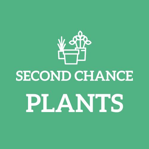 Second Chance Plants 